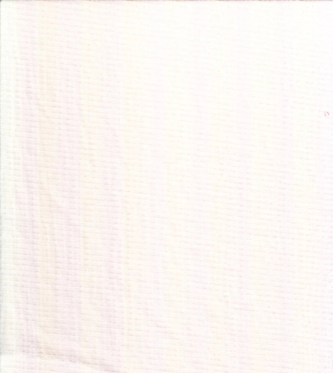 1 Yard White Spun Poly Span Knit Gauze Fabric, Soft Lightweight Stretch 52/54" Wide for Apparel